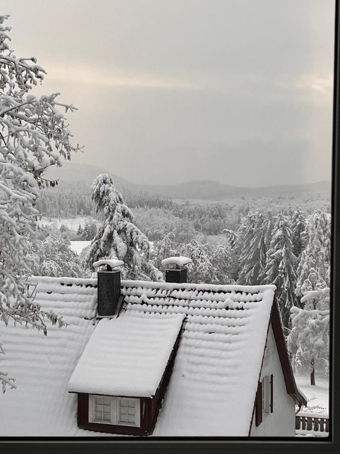 Chalet627 Braunlage Zewnętrze zdjęcie